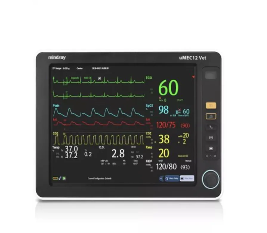 Patient Vital Signs Monitor